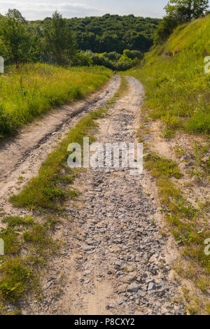 Schmutz Straße, die zu einem dichten Wald. Für ihr Design Stockfoto