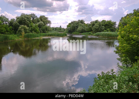 Ländlichen Teich mit Schilf wächst es und Lilien. Ein Ort der Erholung der Anwohner während der Ferien. . Für ihr Design Stockfoto