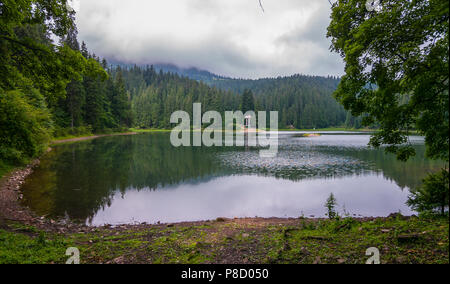 Ein kleiner See unter einem hohen dichten Wald mit kriechenden Wolken über den Baumkronen. Für ihr Design Stockfoto