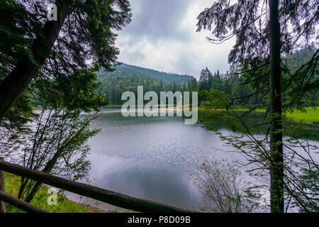 Die Perle der Ukrainischen Karpaten ist ein malerisches Sinewirsee im Wald. Für ihr Design Stockfoto