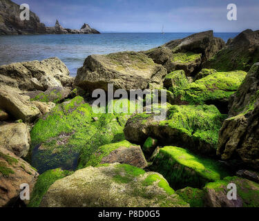 De - Devon: Ansteys Cove zwischen Babbacombe und Torquay (HDR-Bild) Stockfoto