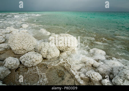 Totes Meer Salz Formationen, Israel Stockfoto