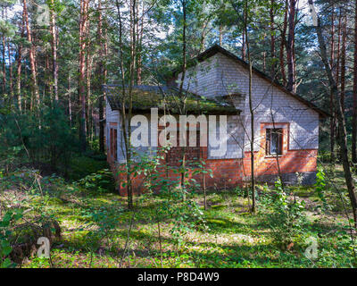 Alten, verlassenen Haus der Ziegel in einem Pinienwald. Mit embedded Windows und Moos wachsen auf dem schieferdach. . Für ihr Design Stockfoto