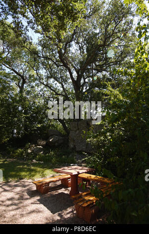 Holz lackiert Tisch mit Bänken im Park unter dem Schatten der Bäume. Ein Ort für Spaziergänge und Erholung. Für ihr Design Stockfoto