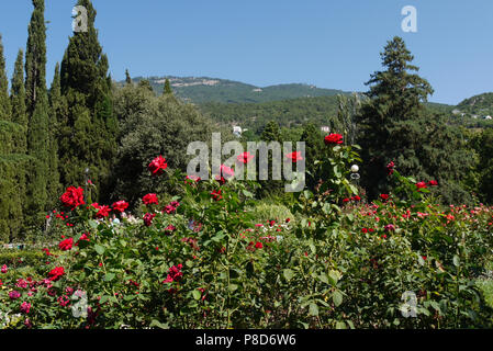 Ein grosses Beet mit Blumen mit einem üppigen Bush der roten Rosen im Vordergrund vor dem Hintergrund der Berggipfel in der Ferne sichtbar. Für Stockfoto