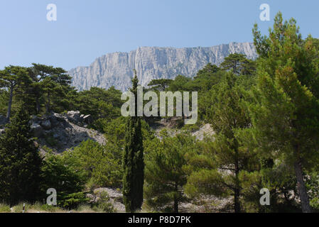 Dicke grüne Bäume unter einem blauen Himmel im Hintergrund der Hohe, steile Berge. Für ihr Design Stockfoto