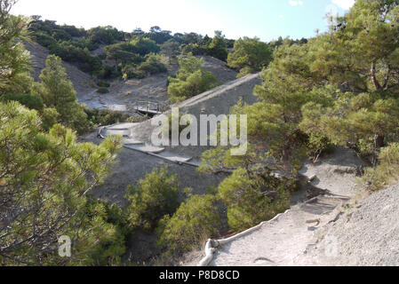 Eine schmale Rocky Road in der Mitte der Piste bedeckt mit Bäumen auf dem Hintergrund der blauen Himmel. Für ihr Design Stockfoto