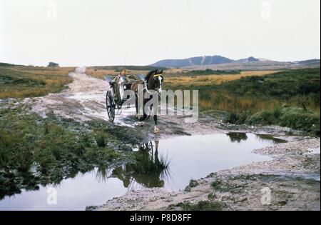 Weit entfernt von der Hektik des Alltags (1968) Datum: 1968 Stockfoto