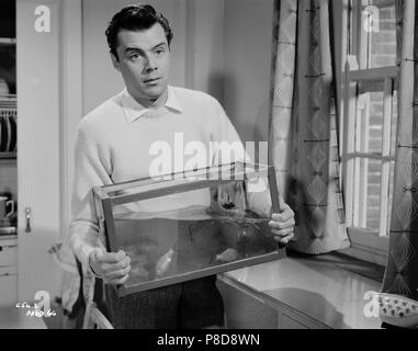 Für bessere Für Schlechter (1955) Dirk Bogarde, Datum: 1955 Stockfoto