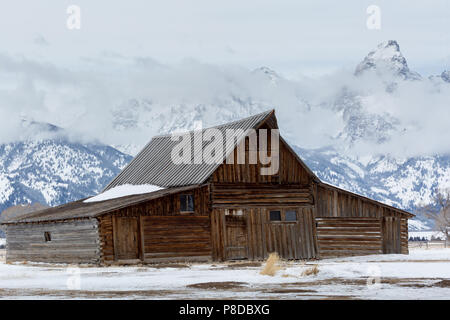 Die molton Scheune stehend vor dem Teton Berge im Schnee und Nebel. Der Grand Teton National Park, Wyoming Stockfoto