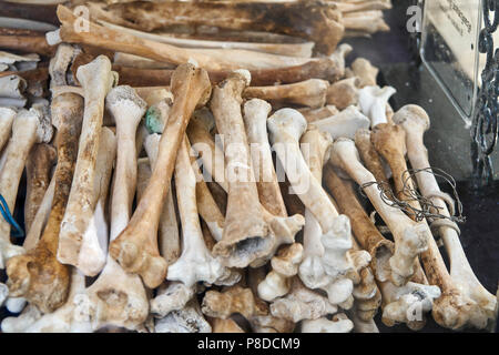 Buddhistische Denkmal an der Killing Fields außerhalb Phenom Penh, Kambodscha Stockfoto