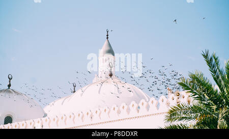 Den täglichen Blick in die Kuppel der Quba Moschee, Vögel flogen und thront auf der Spitze der Kuppel. Stockfoto