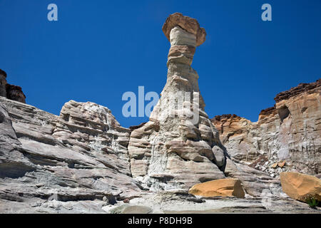 UT 00412-00... UTAH - Die schöne Wahweap Hoodoos, weiß mit roter Kappe Felsen, im Grand Staircase Escalante National Monument. Stockfoto