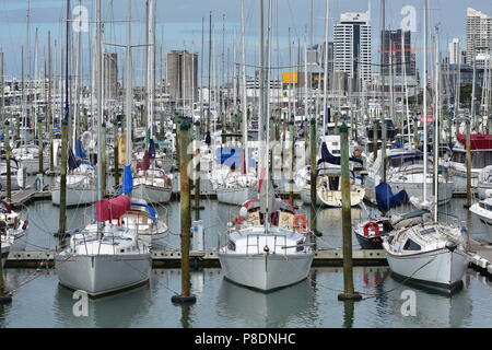 Reihen von Anker Segel Schiffe in der Westhaven Marina mit Auckland CBD im Hintergrund. Stockfoto