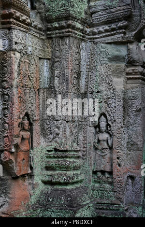 Preah Khan Tempel in der Tempelanlage Angkor Wat, Siem Reap, Kambodscha. Stockfoto