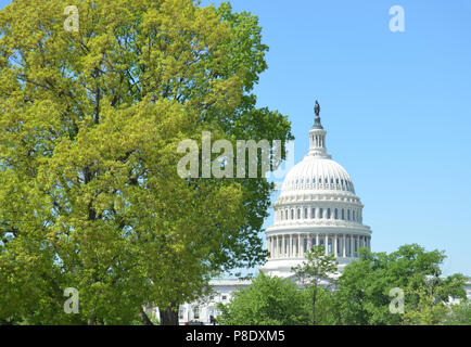 Capitol mit Bäumen Stockfoto