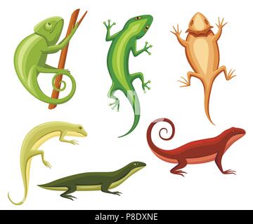 Flache Eidechsen Sammlung. Cartoon chameleon Klettern auf Zweig. Kleine Eidechsen Tier Flachbild icon Sammlung. Vector Illustration isoliert auf weißem backgroun Stock Vektor