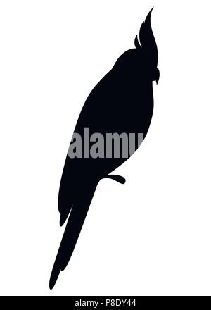 Schwarze Silhouette. Nymphensittich Papagei Vogel. Papagei auf Zweig Plakate, Kinder Bücher illustriert. Tropical bird Cartoon Stil. Auf weiß Isoliert backgro Stock Vektor