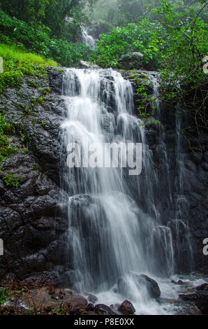 Eine der vielen Wasserfälle während der Monsunzeit auf Amboli Ghat, Maharashtra, Indien Stockfoto