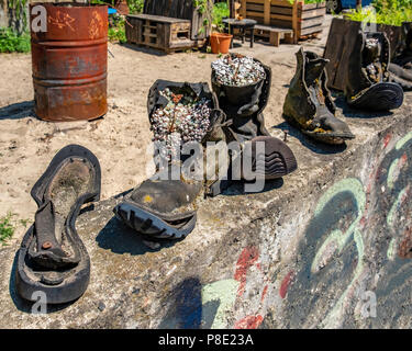 Berlin Prenzlauer Berg. Skurrile Pflanze Container. Alpine Sempervivum Pflanzen in verwitterten alten Stiefel im Garten von Ausland Music Center Stockfoto