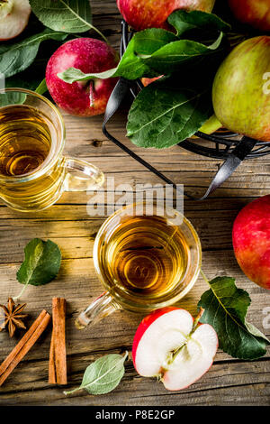 Hausgemachte Apfelsaft mit Zimt und Anis Gewürze, mit frischen Äpfeln auf Holz rustikale Background Copy space Stockfoto