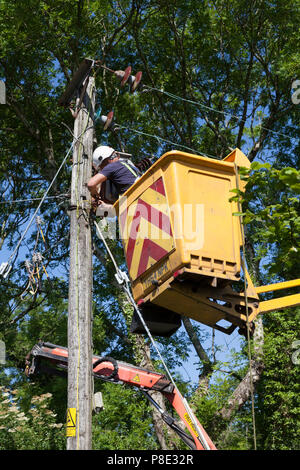 Ingenieur ersetzen Strom Transformator, Llanllyfni, Gwynedd Stockfoto