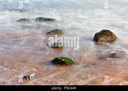 Buntes Herbstlaub floating nach einem Sturm in der Ostsee zwischen großen Steinen am Ufer, Langzeitbelichtung Stockfoto