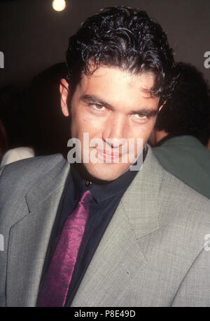 WESTWOOD, CA - 26. Februar: Schauspieler Antonio Banderas nimmt an Warner Bros. Pictures'' Die Mambo Kings' Premiere am 26. Februar 1992 an den Mann Bruin Theater in Westwood, Kalifornien. Foto von Barry King/Alamy Stock Foto Stockfoto