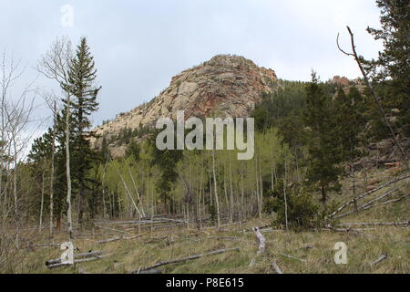 Hankins Pass Trail Wanderung Stockfoto