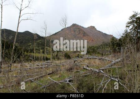 Hankins Pass Trail Wanderung Stockfoto