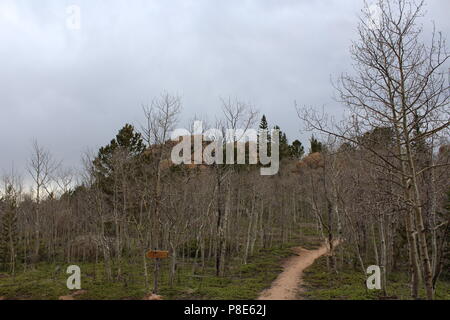 Hankins Pass Trail Wanderung Stockfoto