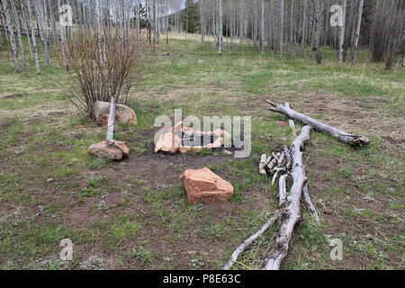 Hankins Pass Trail Wanderung Stockfoto