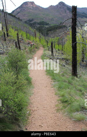 Hankins Pass Trail Wanderung Stockfoto