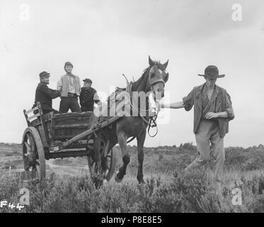 Frankenstein erstellt Frau (1967) Datum: 1967 Stockfoto