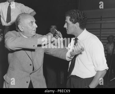 Es ist toll, dass Junge (1956) Regisseur Cyril Frankel, Datum: 1956 Stockfoto