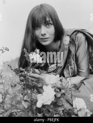 Die Reptilien (1966) Jacqueline Pearce, Datum: 1966 Stockfoto