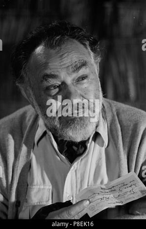 Sammy nach Süden (1963) Edward G.Robinson, Datum: 1963 Stockfoto