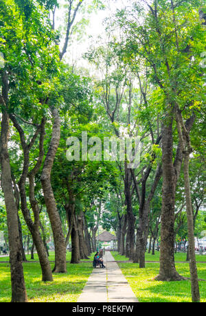 Einer von Bäumen gesäumten Weg im September 23 Park in Ho Chi Minh City, Vietnam. Stockfoto