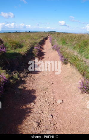 Rundumleuchte Batch runde Barrow Friedhof trig Point. John O'Groats (Duncansby head) zu den Ländern Ende Ende Trail zu beenden. Mendip Hills. Somerset. England. Großbritannien Stockfoto