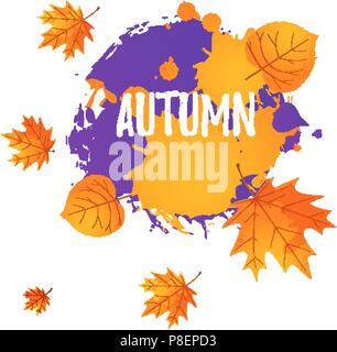 Herbst Hintergrund Vorlage. Fallende Blätter orange auf weißem Hintergrund Stock Vektor