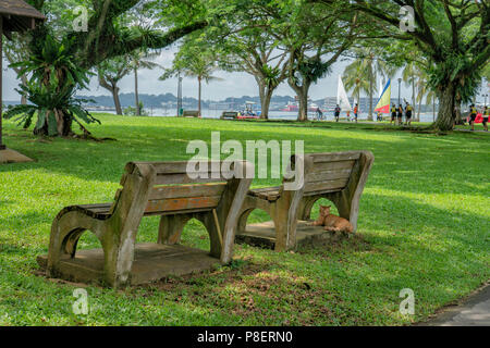 Singapur - Juli 8,2018: Pasir Ris Parkbänke mit einem gelben Katze. Pasir Ris Park ist ein Beach Park in der Teil von Singapur, der 1989 eröffnet wurde entfernt Stockfoto