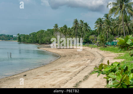 Singapur - Juli 8,2018: Pasir Ris Park. Strand in Pasir Ris Park, Singapur. Pasir Ris Park ist ein Beach Park, Ope in dem Teil von Singapur. Stockfoto