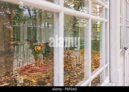 Blumen auf dem Tisch im Sommer Veranda eines alten Hauses mit Reflexion in den Fenstern der gelben Herbst Wald am Ende der Saison. Stockfoto