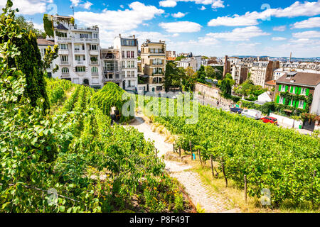 Clos Montmartre auch als Vigne de Montmartre bekannt. La Vigne de Montmartre ist das älteste Weingut in Paris. Stockfoto