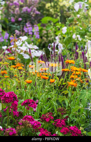 Gemischte Bettwäsche Sommer Stauden Cottage Garden an der RHS Hyde Hall