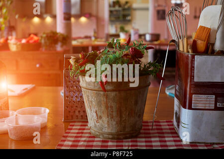 Rote Paprika in Töpfen Stockfoto