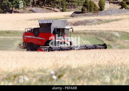 Morko, Schweden - 10. Juli 2018: Rot Mähdrescher von Massey Ferguson 9380 Delta ernten Getreide. Stockfoto