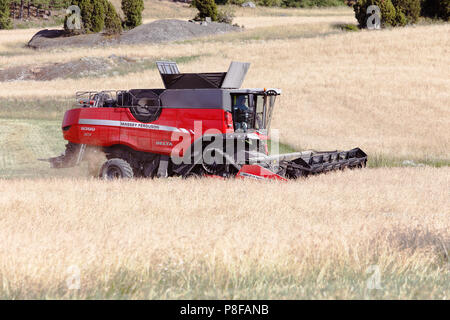 Morko, Schweden - 10. Juli 2018: Rot Mähdrescher von Massey Ferguson 9380 Delta ernten Getreide. Stockfoto