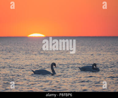 Ostsee Sonne eingestellt. Litauen, Palanga Stockfoto