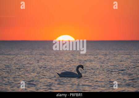 Ostsee Sonne eingestellt. Litauen, Palanga Stockfoto